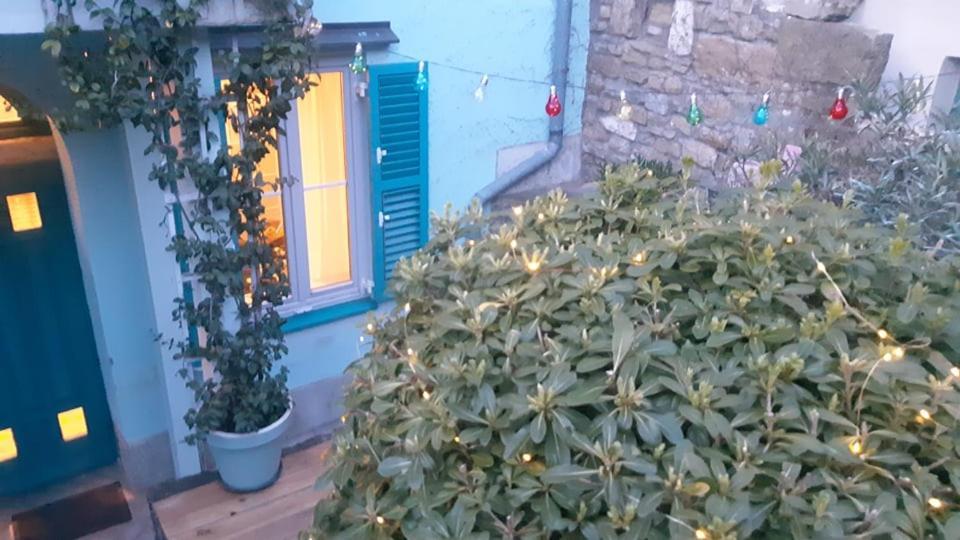 Little Garden Apartment Piran Exterior photo
